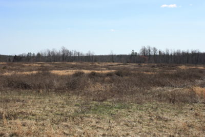 منطقة خالية من غطاء للهروب ليختبئ فيها السمان