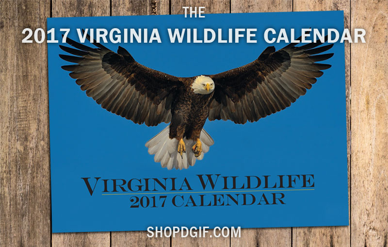 صورة لغلاف التقويم 2017 DWR صورة التقطها ريكي سيمبسون