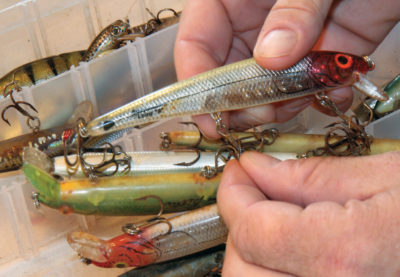 صورة لرجل ينظف الطعوم التي كانت تستخدم في موسم الصيد السابق