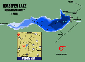 حصان_بحيرة_الحصان