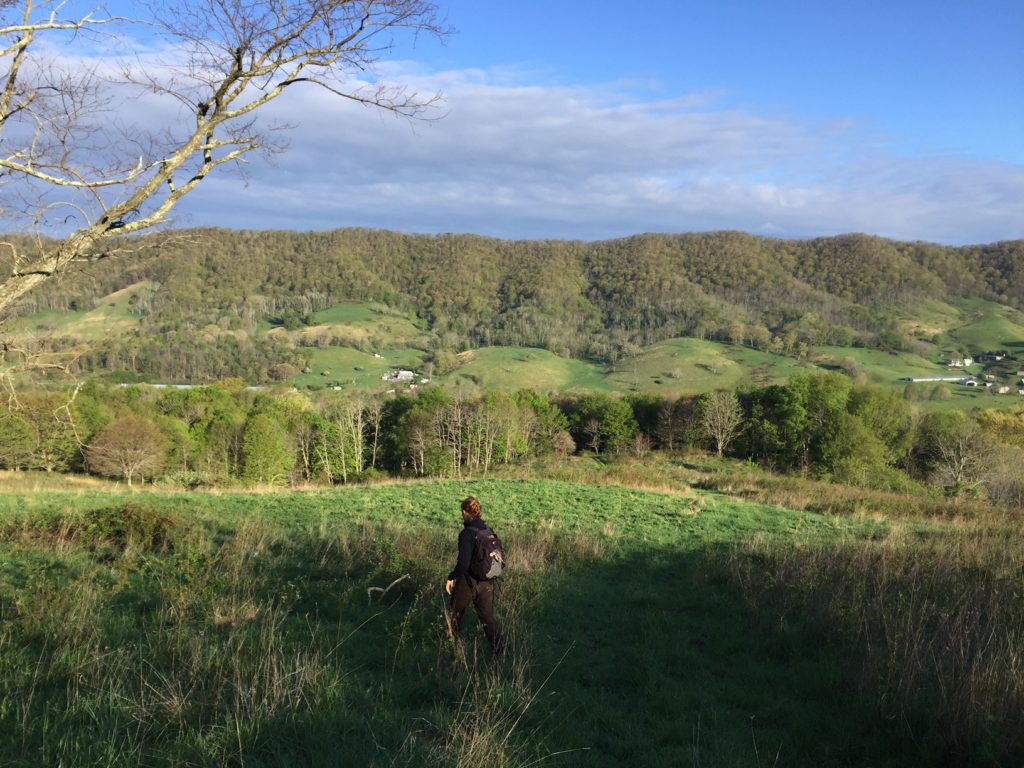 صورة لطيار يبحث عن طائر مغرد مجنح ذهبي في مرج