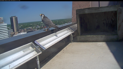 ذكر ريتشموند ذكر على حاجز مبنى ريفرفر فرونت بلازا