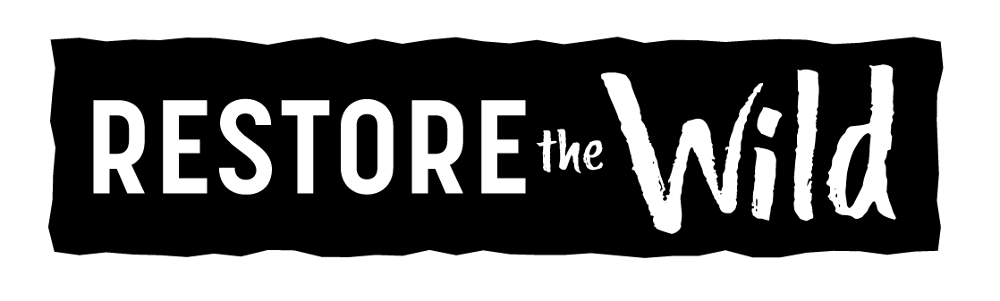 استعادة الحياة البرية