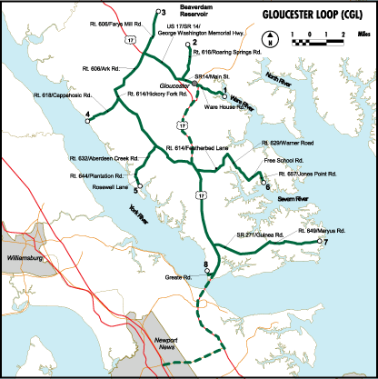 حلقة VBWT Loop CGL