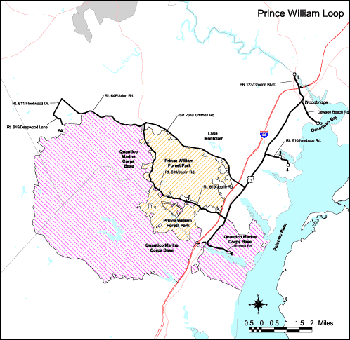 حلقة VBWWT: سي بي دبليو