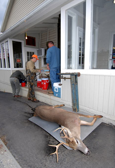 مراقبة cwd-surveillance