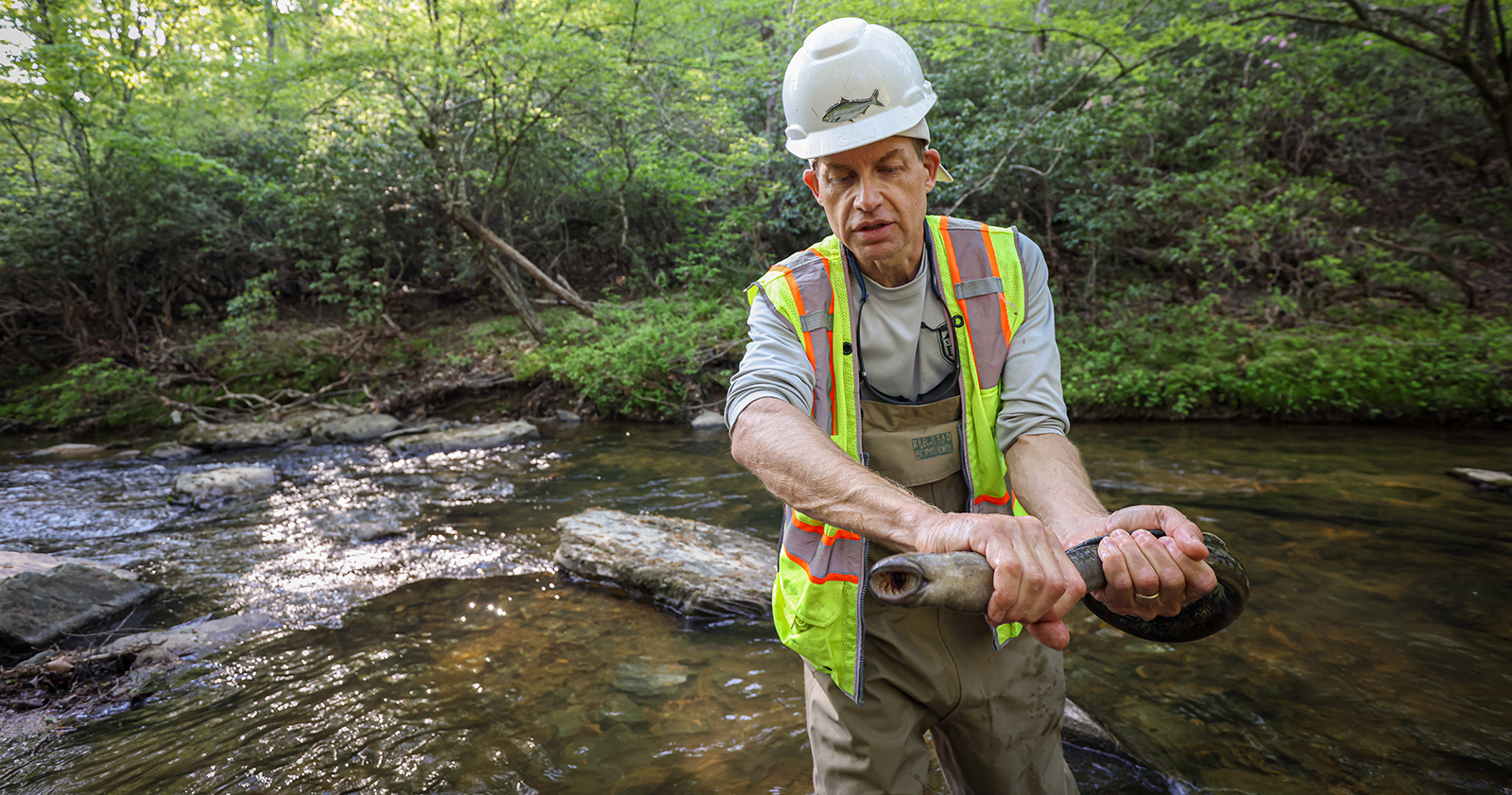 صورة لرجل يحمل جلكى البحر أمام النهر.