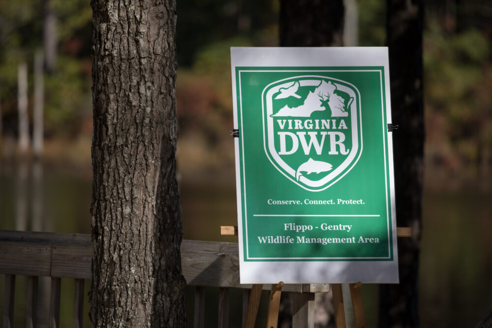 صورة للوحة تذكارية لفليبو جينتري WMA