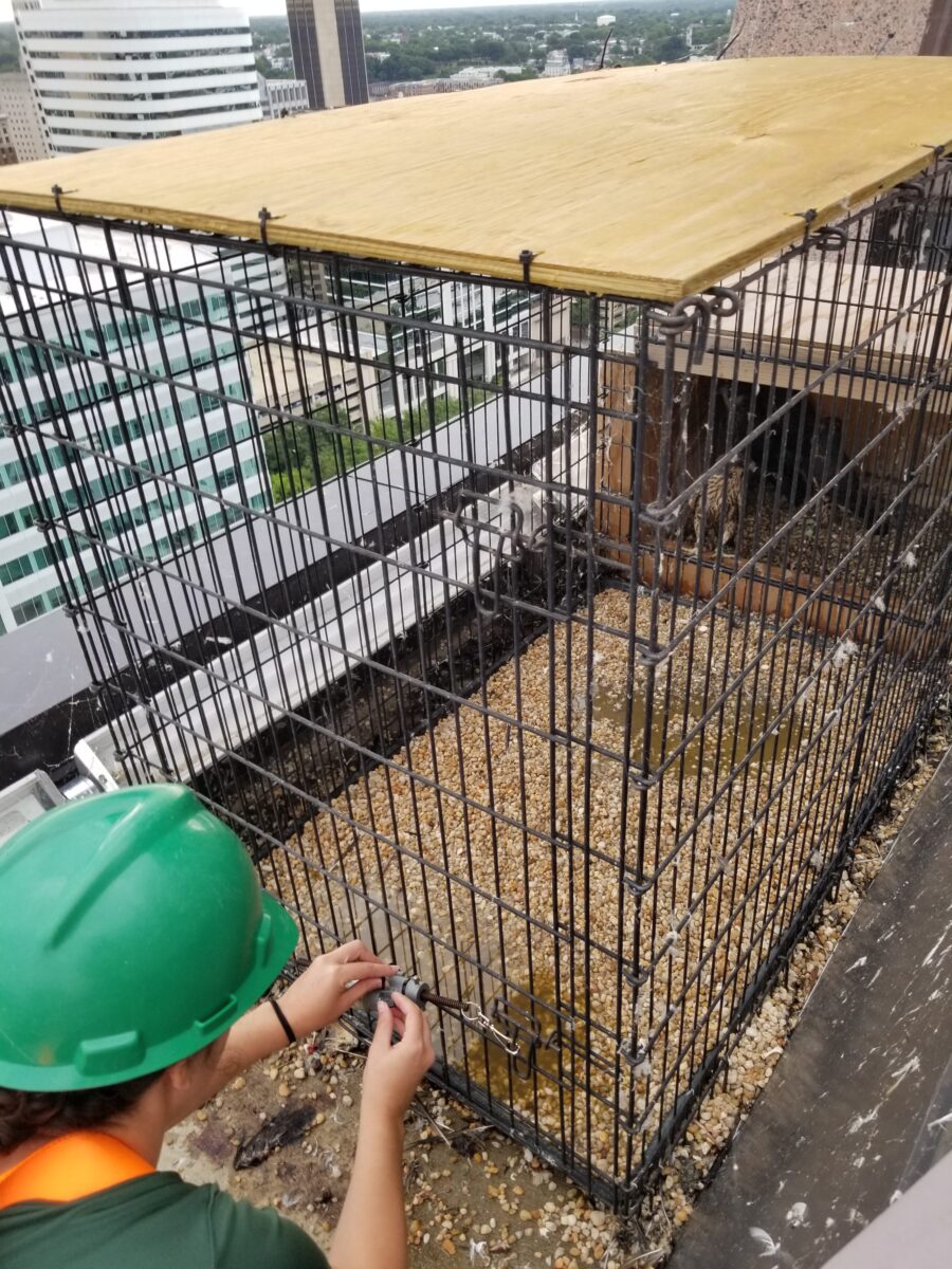 يقوم موظفو DWR باستكشاف أخطاء جهاز التحكم عن بعد لفتح الباب بالقلم