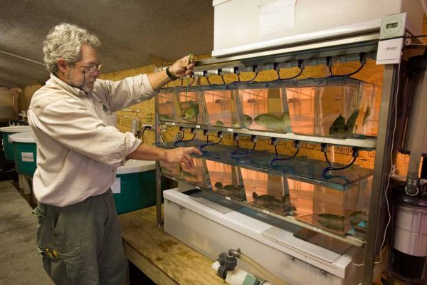 انقر لتوسيع الصورة