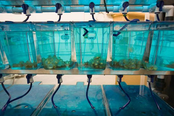 انقر لتوسيع الصورة