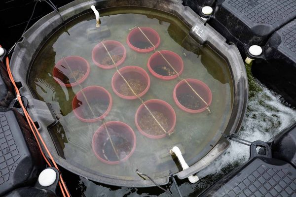 انقر لتوسيع الصورة