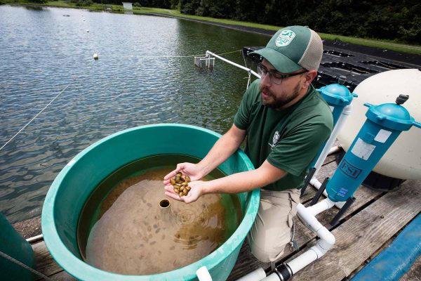 انقر لتوسيع الصورة