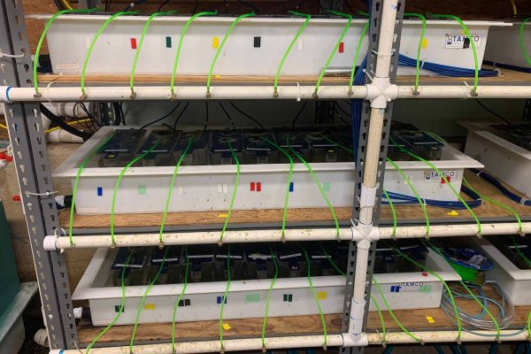 انقر لتوسيع الصورة