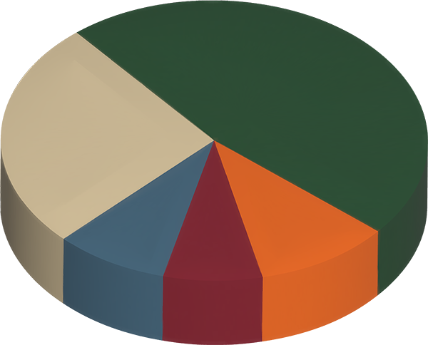 رسم بياني دائري يوضح فئات المشاريع الرأسمالية لشركة DWR