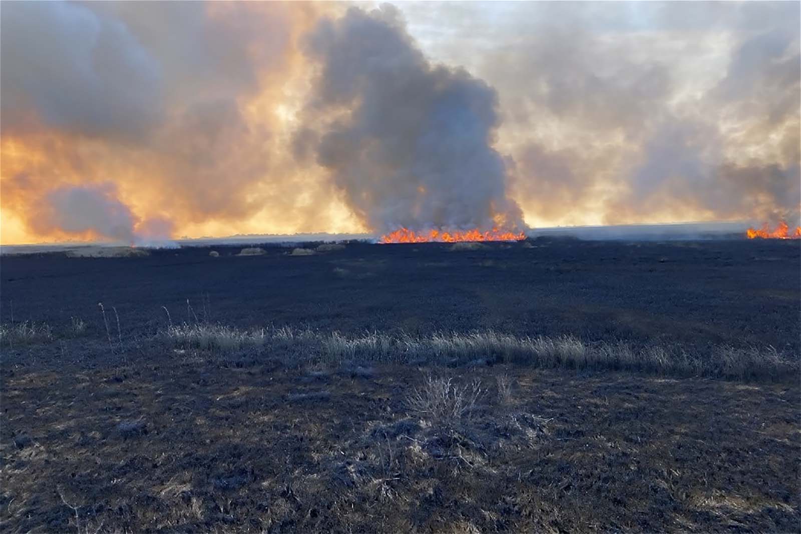 منظر لحقل مع ألسنة اللهب والدخان المتصاعد من حرق موصوف من مسافة بعيدة