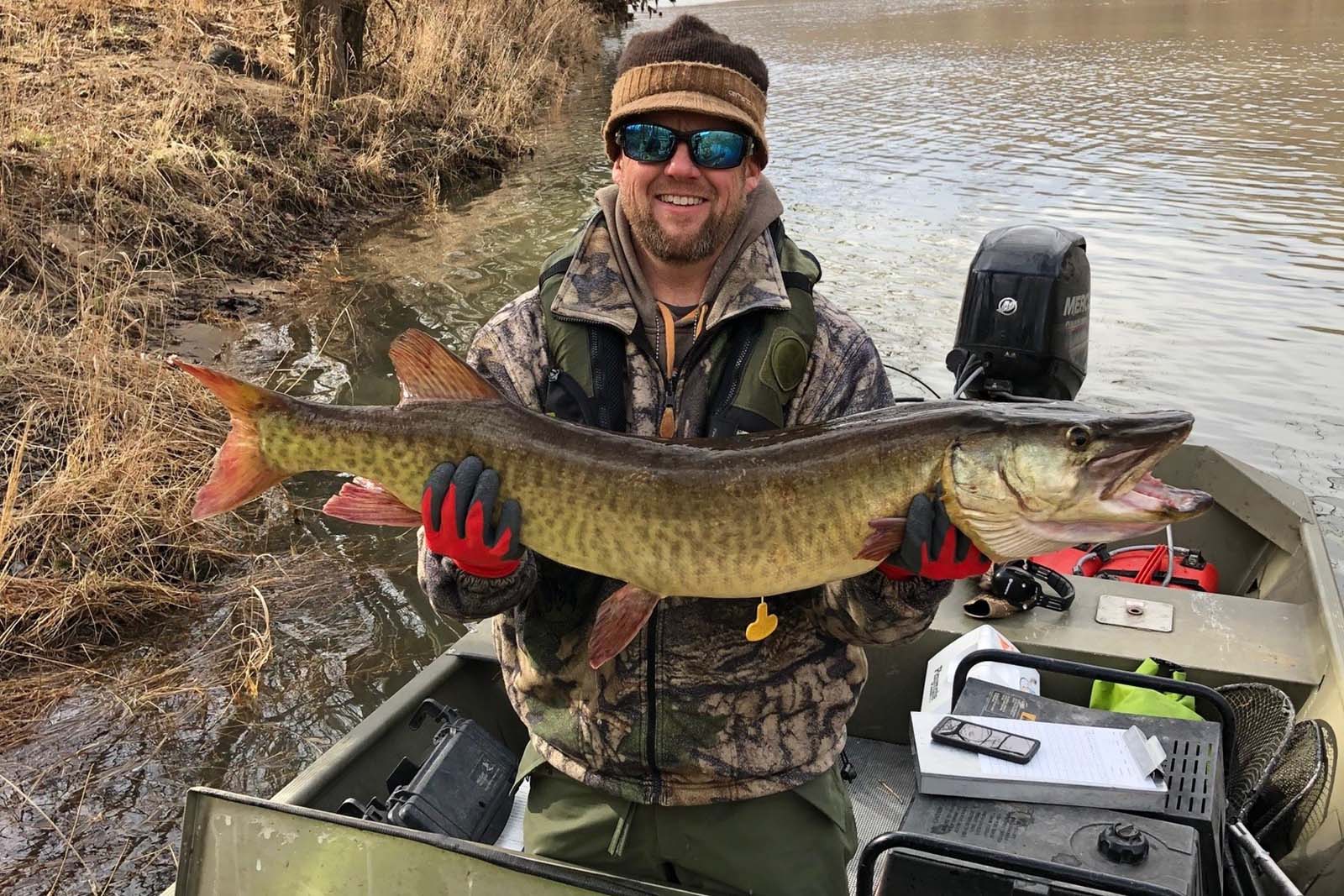 صياد في قارب يحمل سمك المسكي