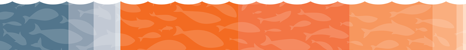 رسم بياني مبسط يوضح نسبة أنواع الأسماك المختلفة التي تم تخزينها والتي تعكس البيانات أعلاه