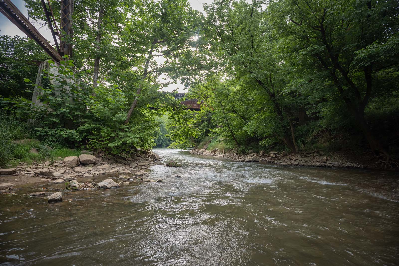 نهر يتدفق بجوار ضفة صخرية تصطف على جانبيه الأشجار