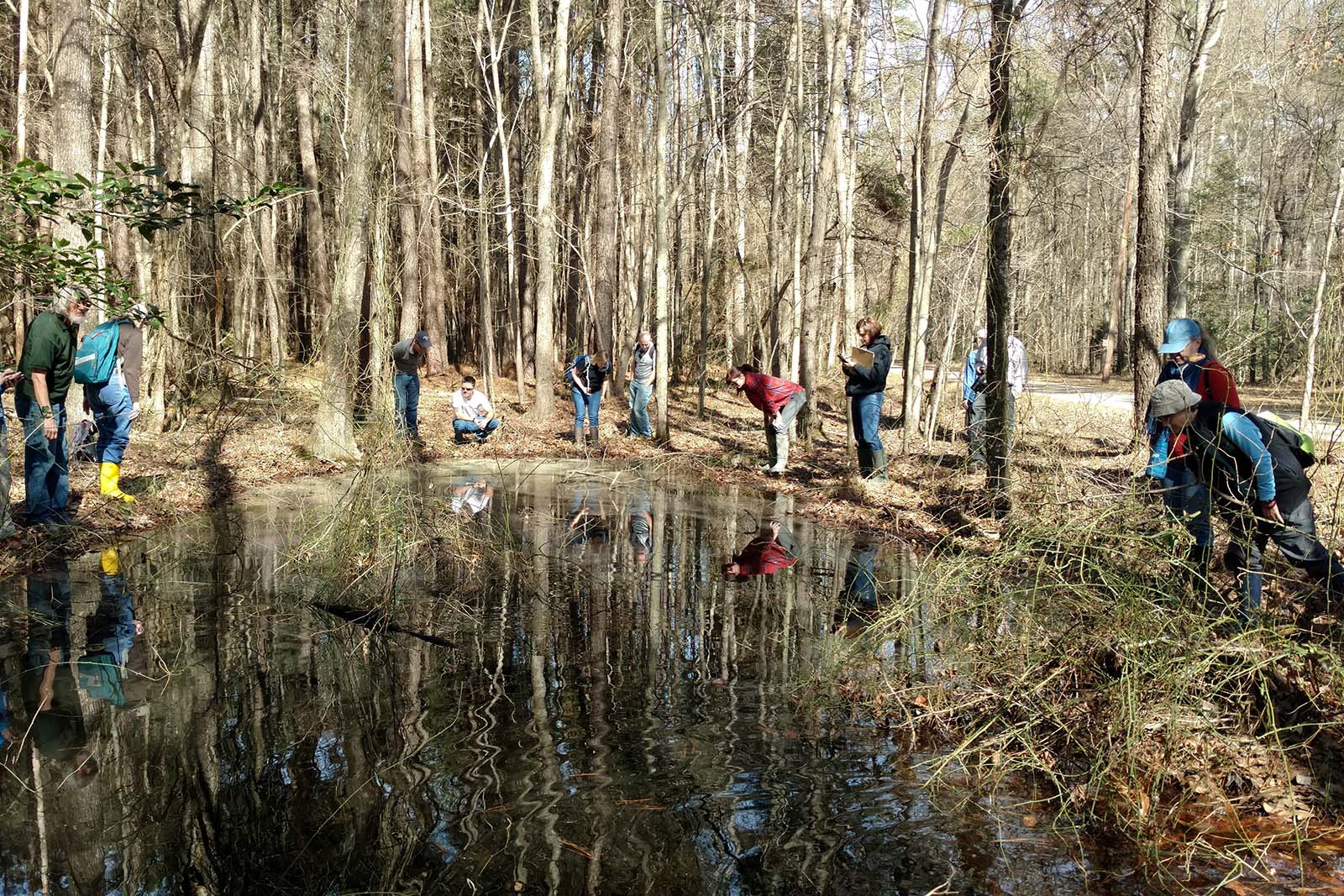 الأشخاص الذين يراقبون الموائل في البرك الخضراء