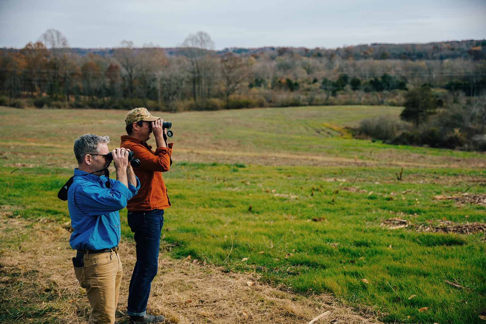 شركة ديفلز باكبون للتخمير