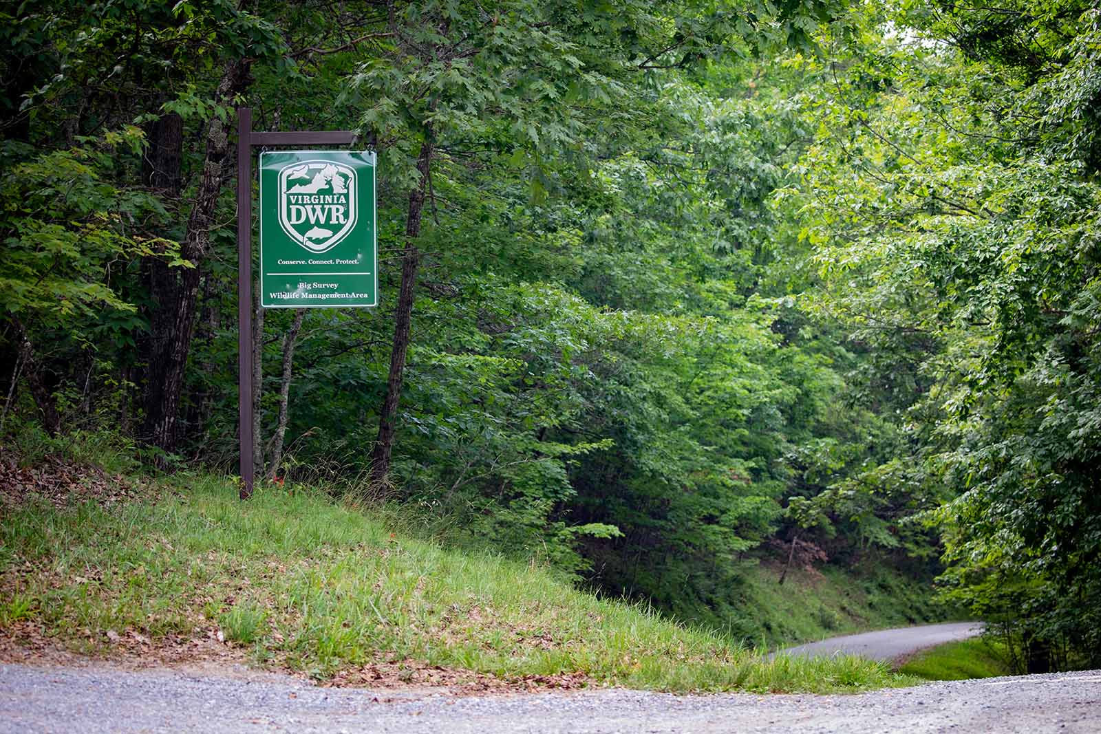 كيفية تمويلنا وكيفية إنفاقنا