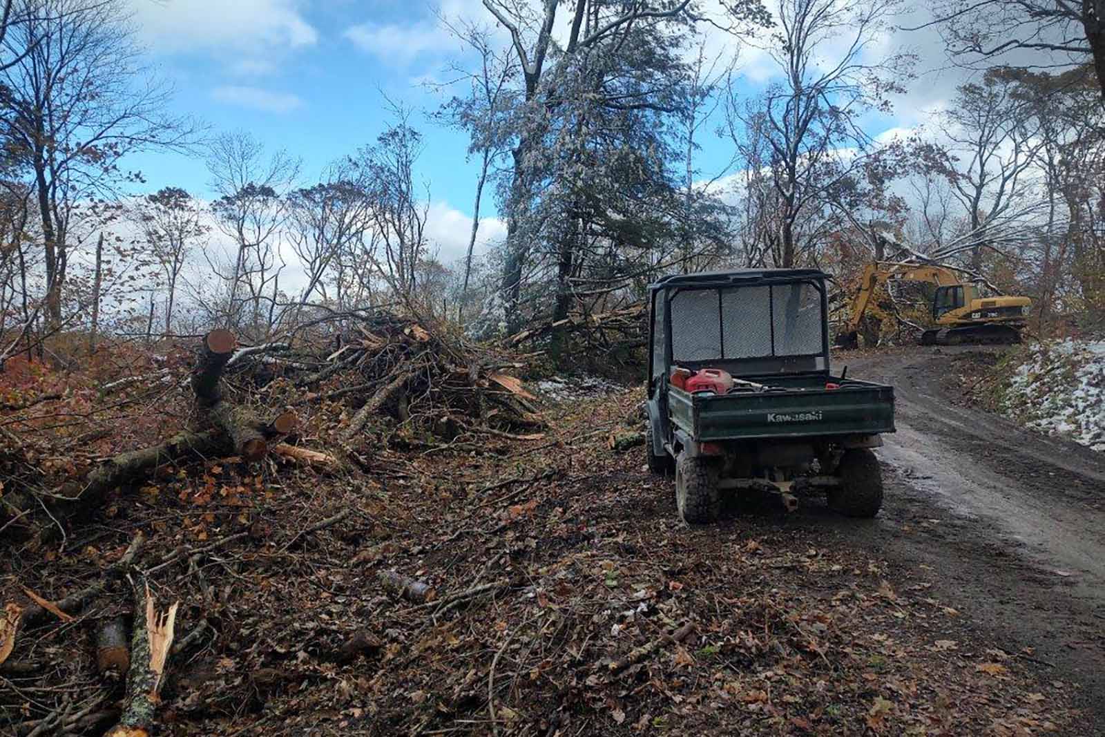 هيلين ريكوفيري