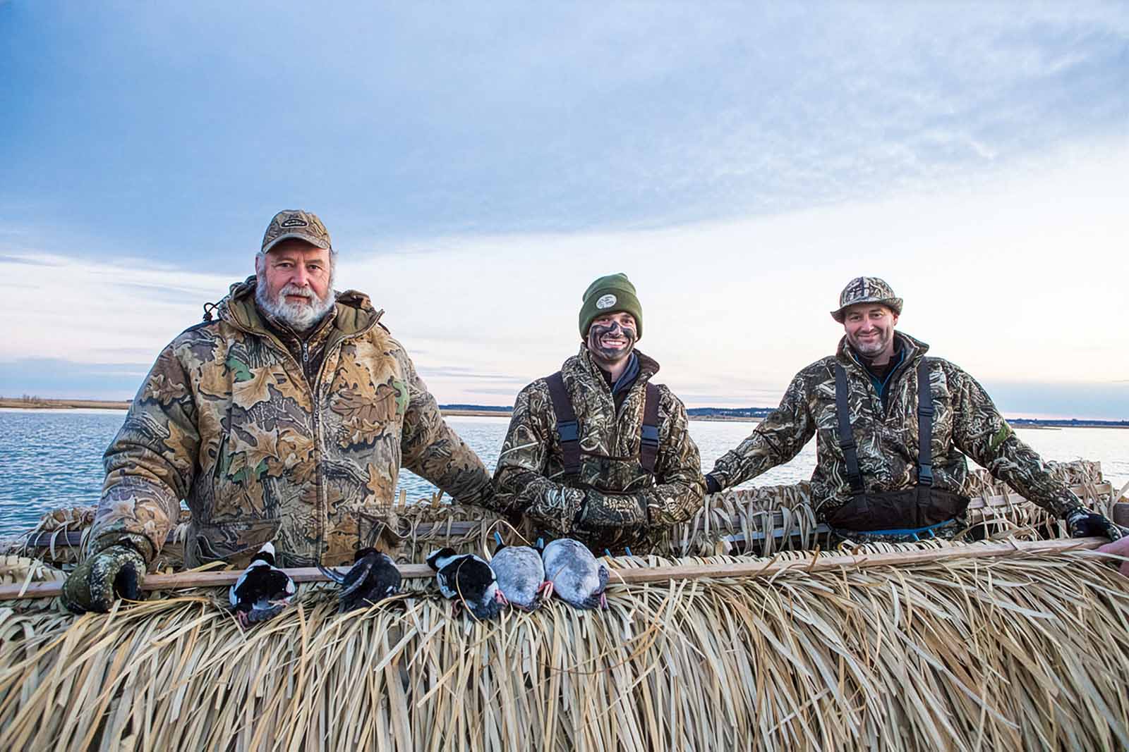 كيف يمكنك المساعدة