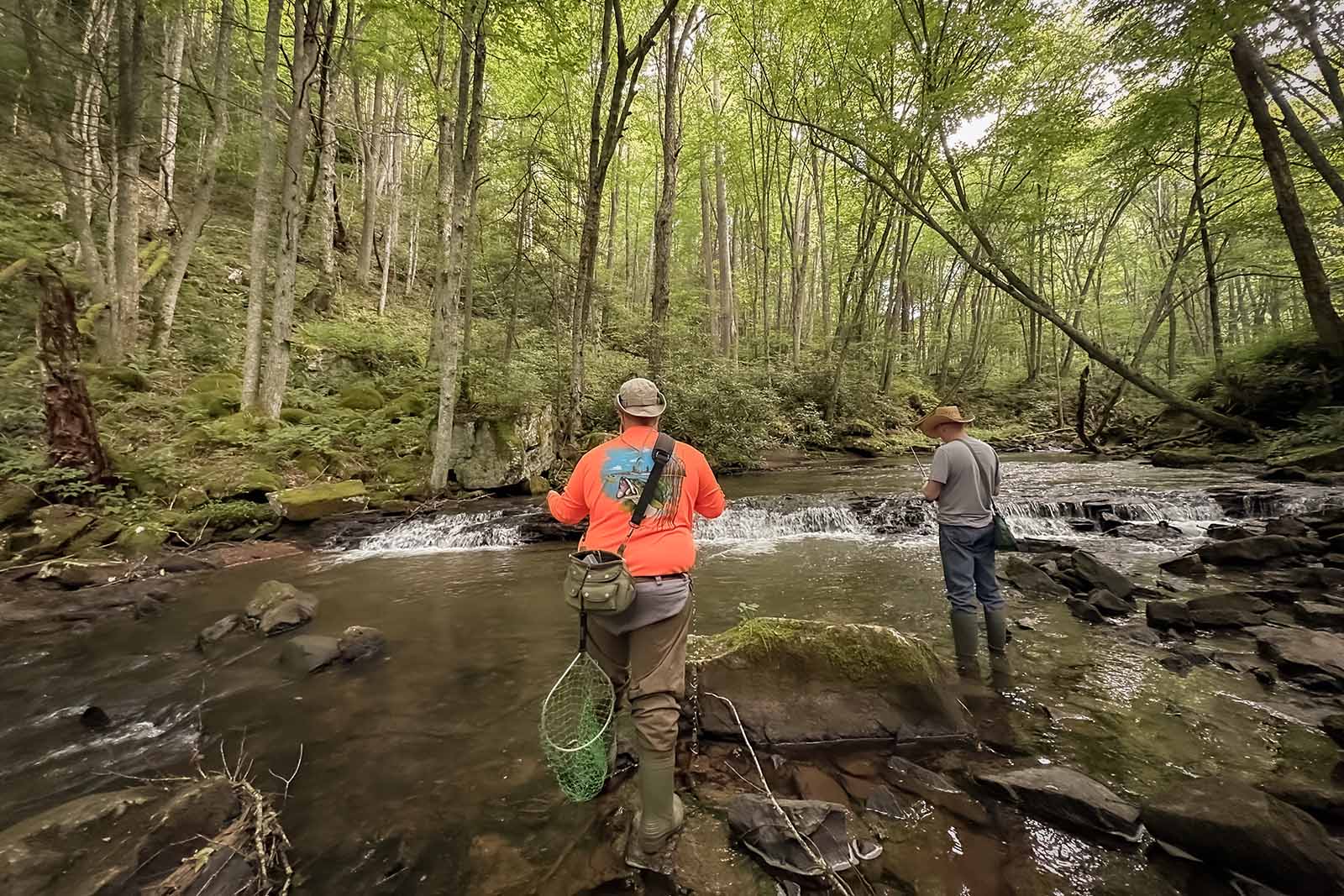 تضمين الصيادين في التخطيط
