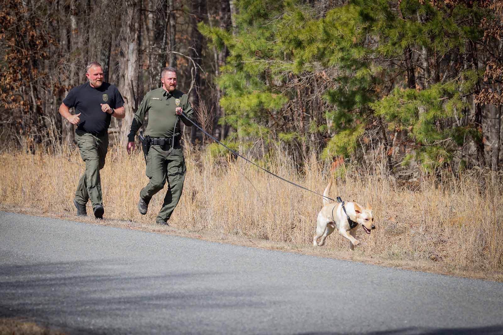 القدرة على التوسعة من K9