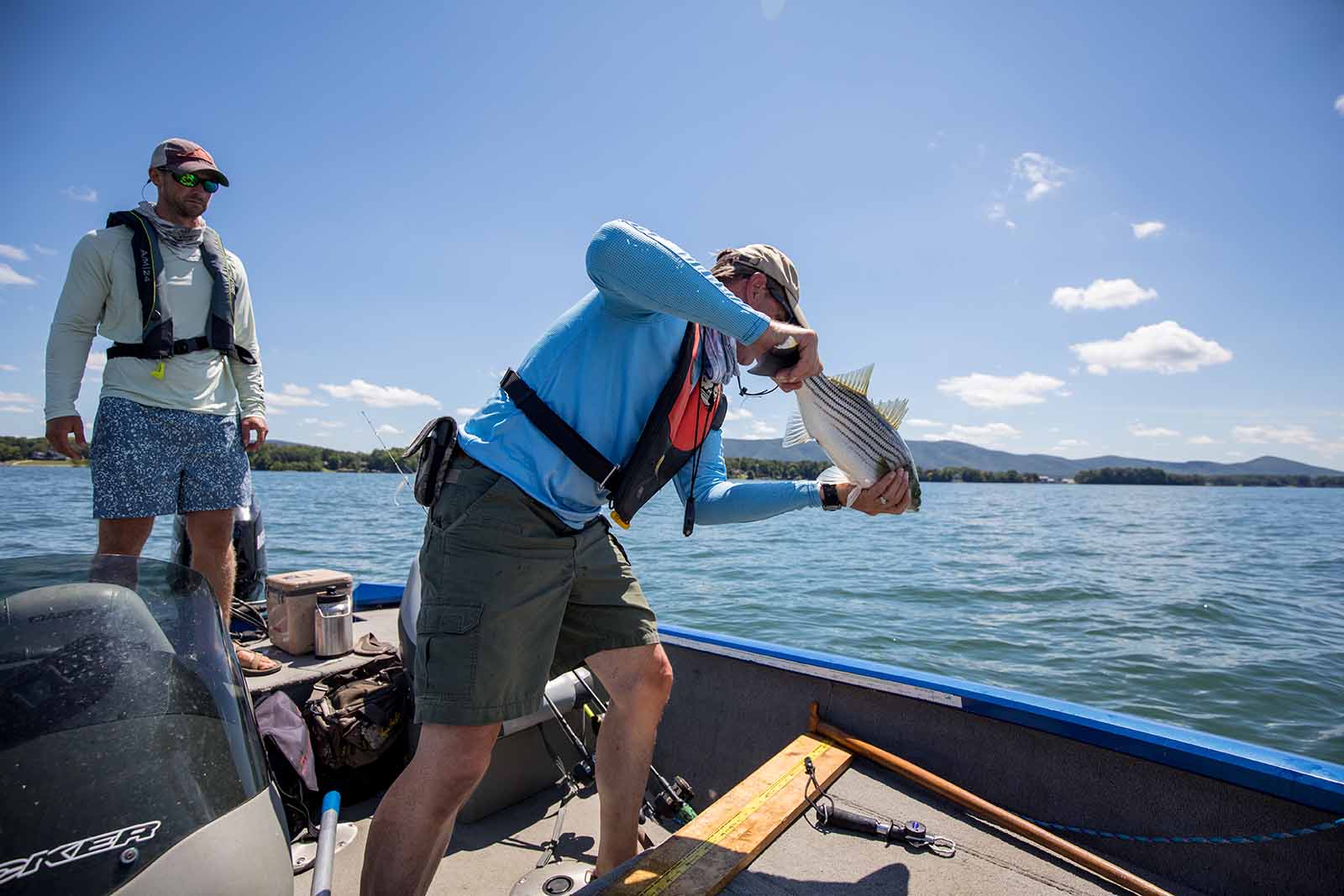 البحث عن معدل وفيات الجهير المخطط