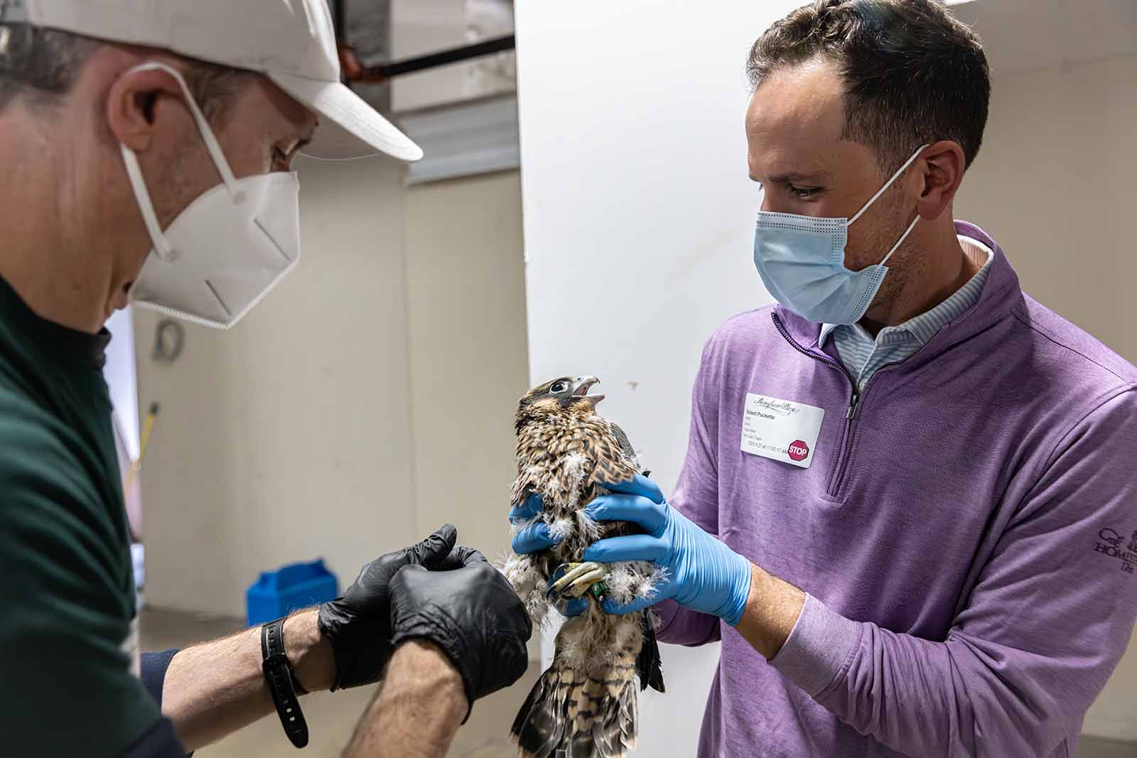 بيرة تريبل كروسينغ