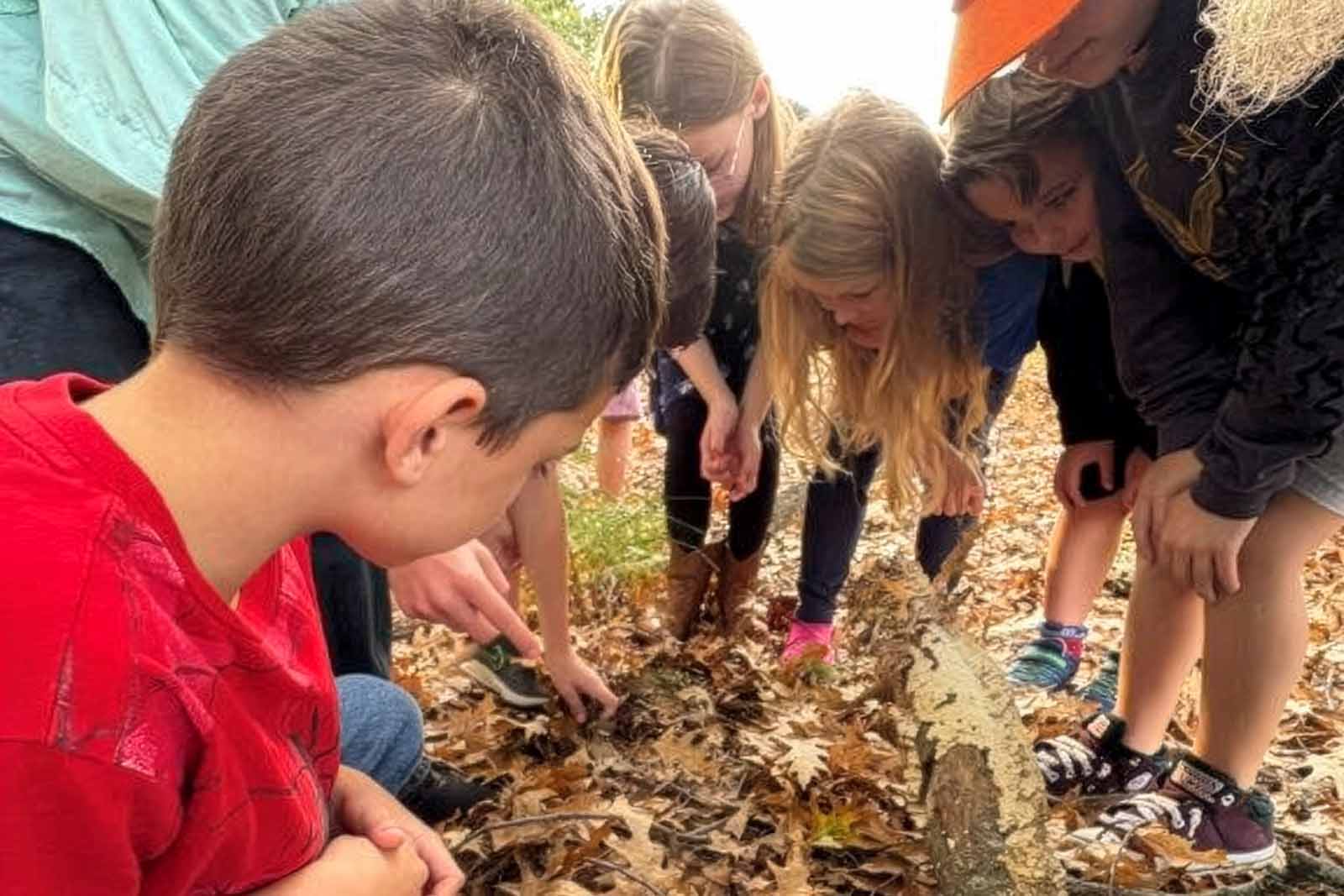 عام قياسي لمدارس فرجينيا الطبيعية