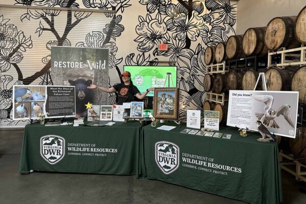 يتولى موظف من إدارة الموارد المائية إدارة كشك المعلومات