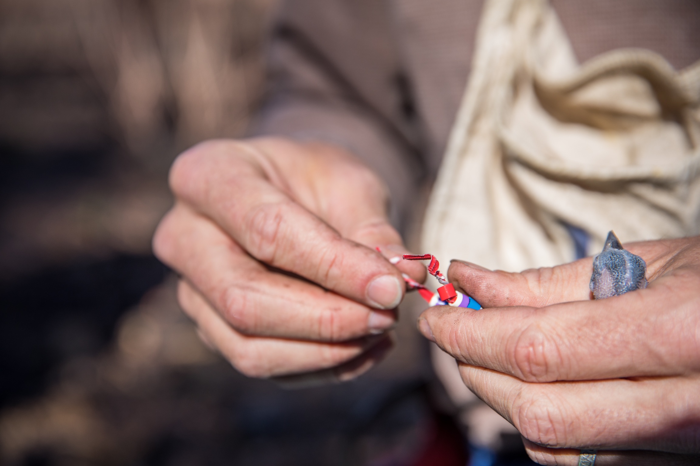 التعشيش الذي يتم ربطه من زاوية مختلفة