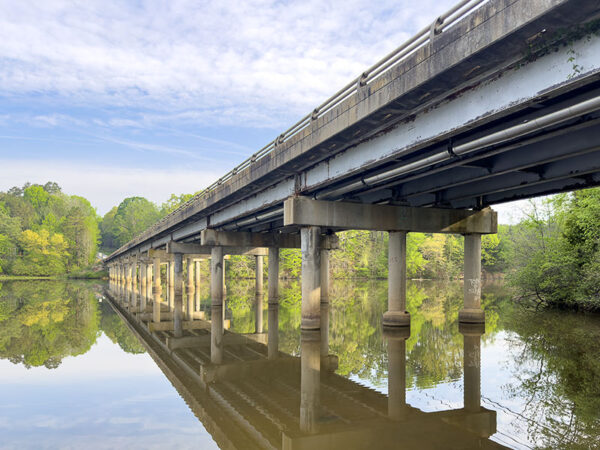 الولايات المتحدة الأمريكية-501 الجسر الذي يعد موقعًا مهمًا لتعشيش مستعمرة من طيور السنونو المنحدرة