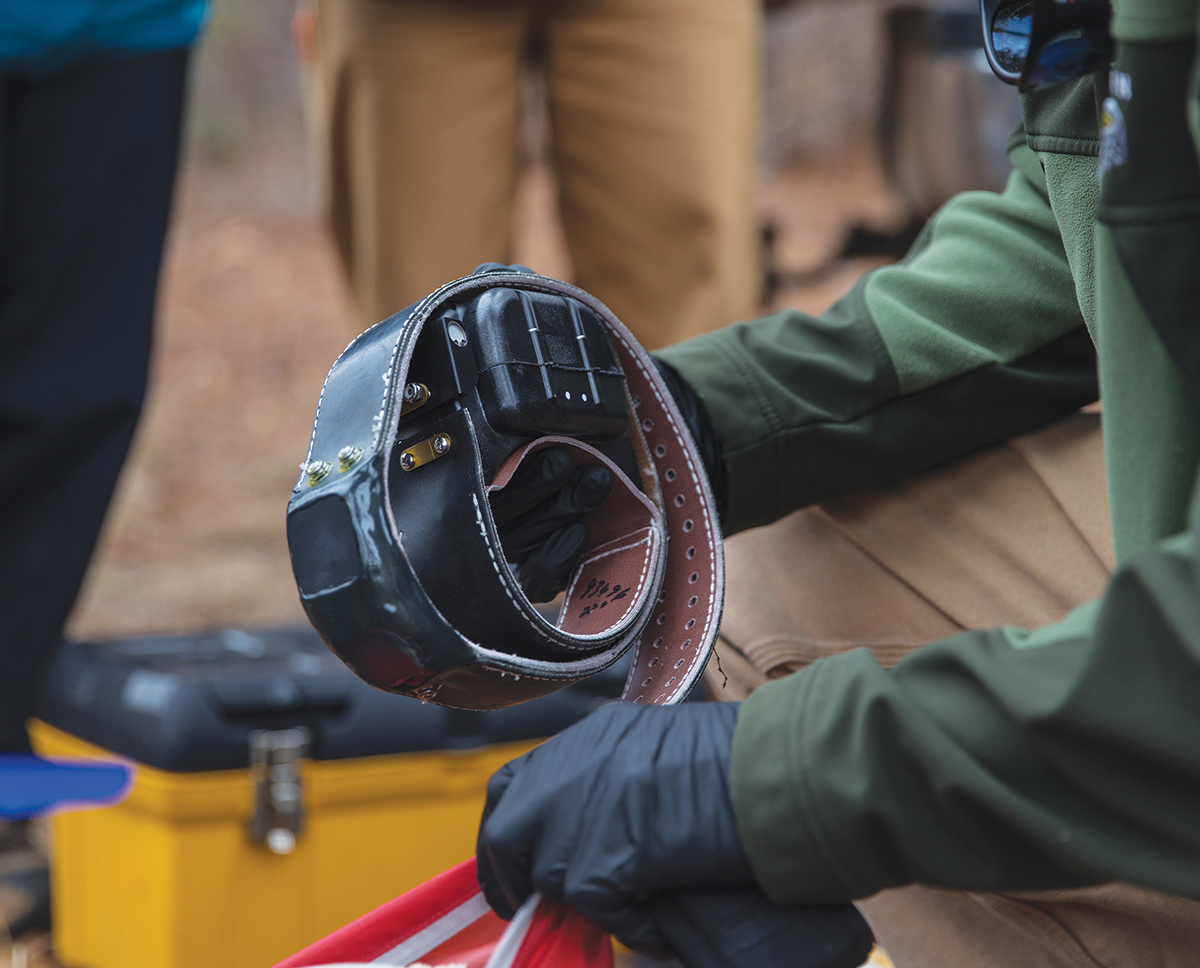 أحد أطواق نظام تحديد المواقع العالمي (GPS)