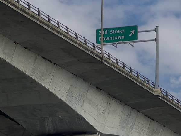 أعشاش كليف سوالو تحت جسر لي. مصدر الصورة: ليزا ميس
