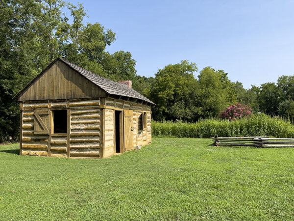 تنبض حديقة الزهور البرية المجاورة لمساكن العمال المستعبدين التي أعيد بناؤها بالحياة بالملقحات في الصيف. مصدر الصورة: ليزا ميس