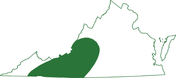 خريطة نطاق السمندل الأسود البطن الأسود