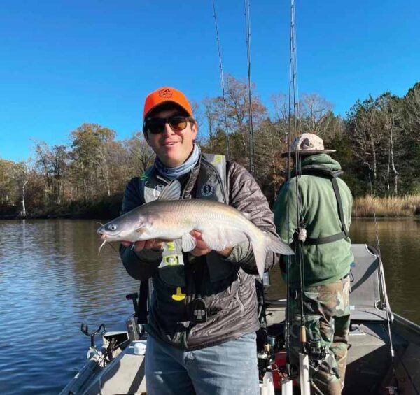 صورة لسمكة سلور زرقاء يحملها رجل