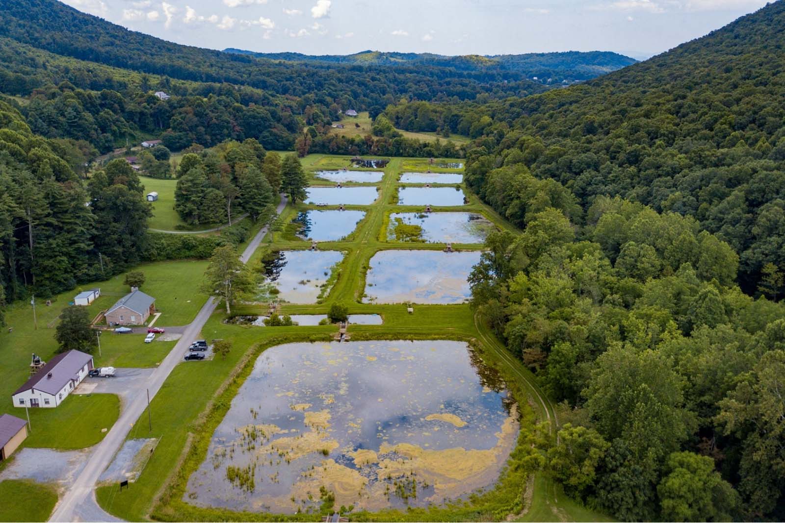 منظر جوي لحمامات التفريخ في الهواء الطلق.