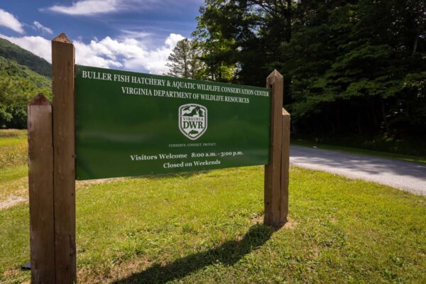 علامة الترحيب بمفرخ الأسماك بولر