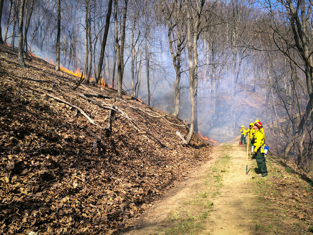 صورة لخط تحكم تم إنشاؤه قبل حدوث الحرق