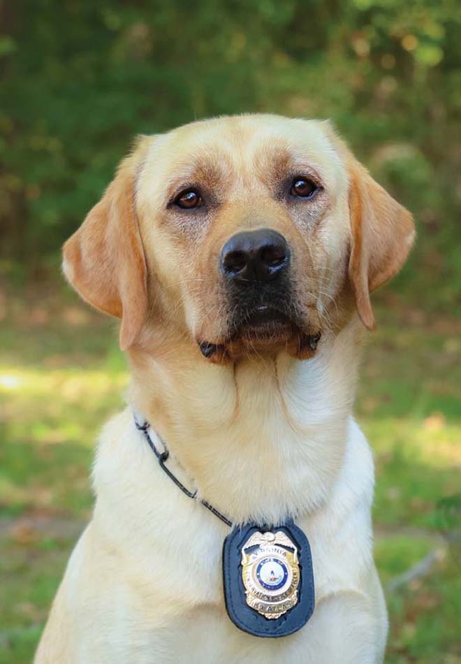 صورة ل K9 Atlas