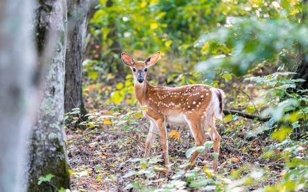 انقر لتوسيع الصورة
