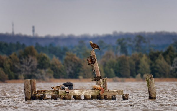 انقر لتوسيع الصورة