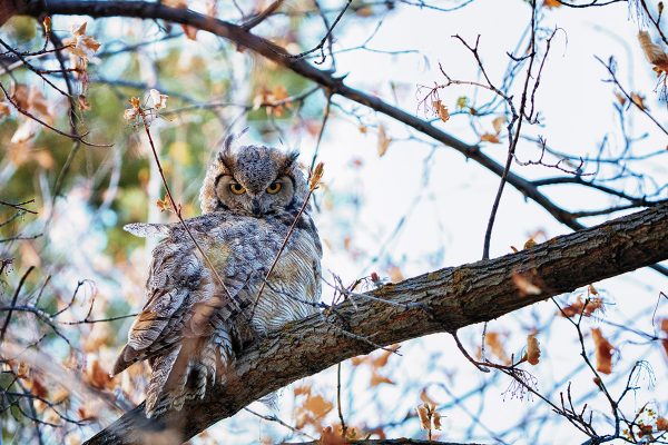 انقر لتوسيع الصورة