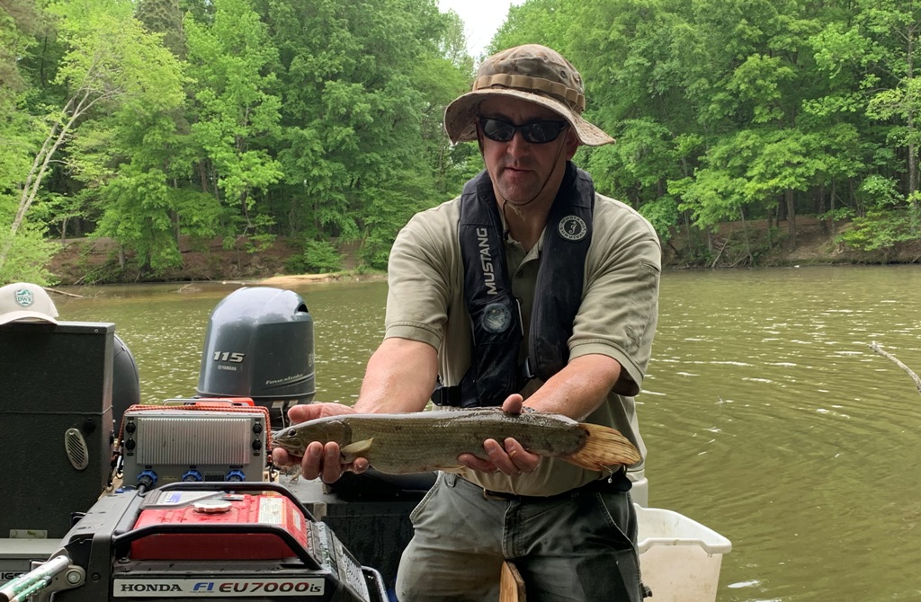 صورة لعالم أحياء يحمل سمكة ذات زعنفة مقوسة ذات جسم انسيابي طويل ولون بني زيتوني.