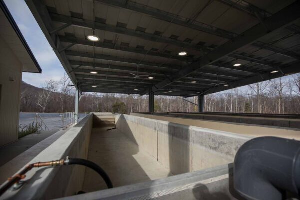 صورة لخزانات التجميع الخارجية في المفرخ